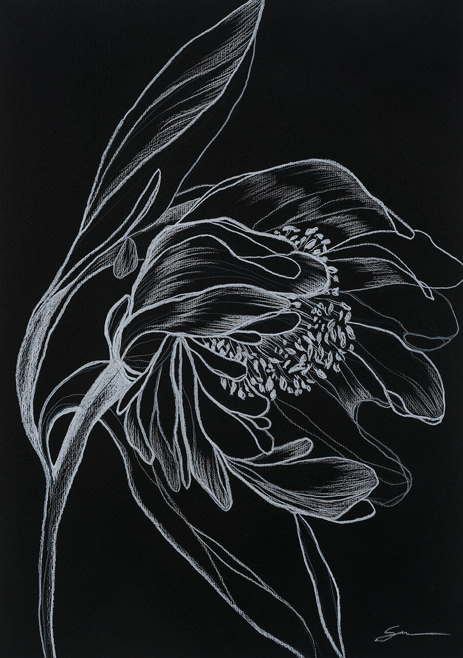 Florals on Paper