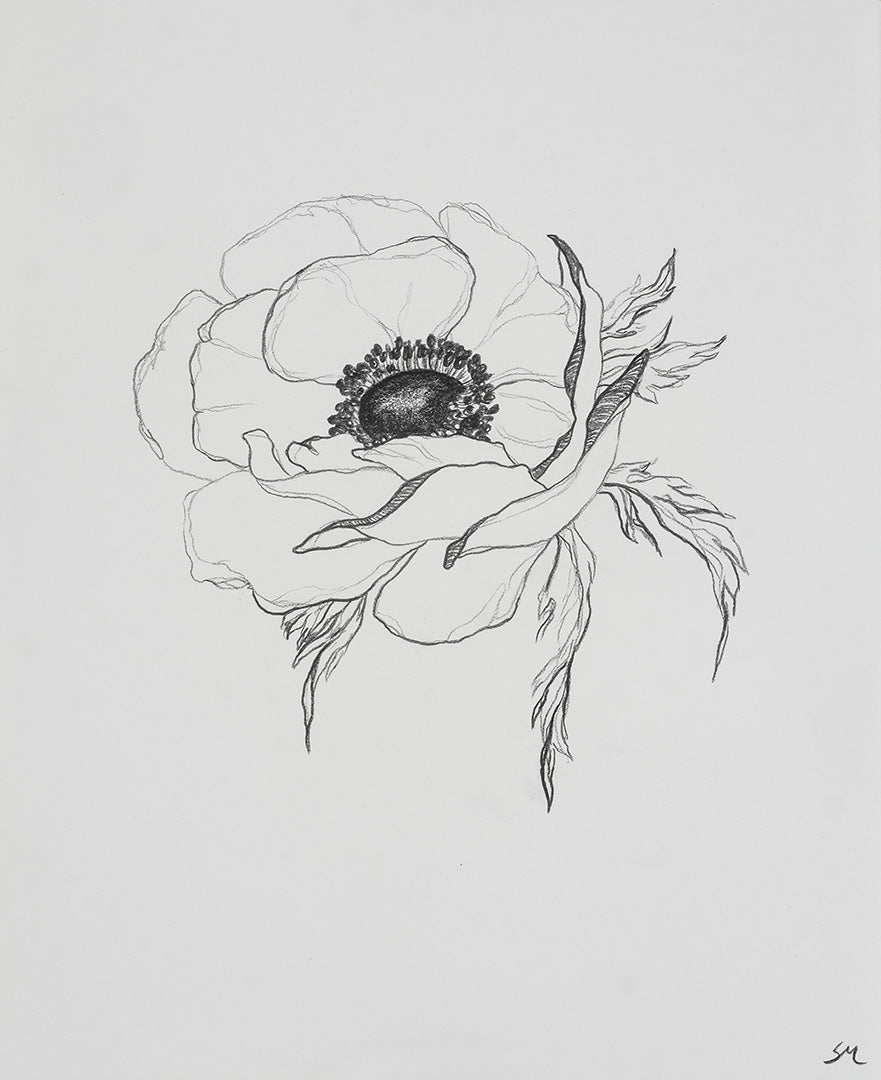 Anemone no.9 / 11" x 9"