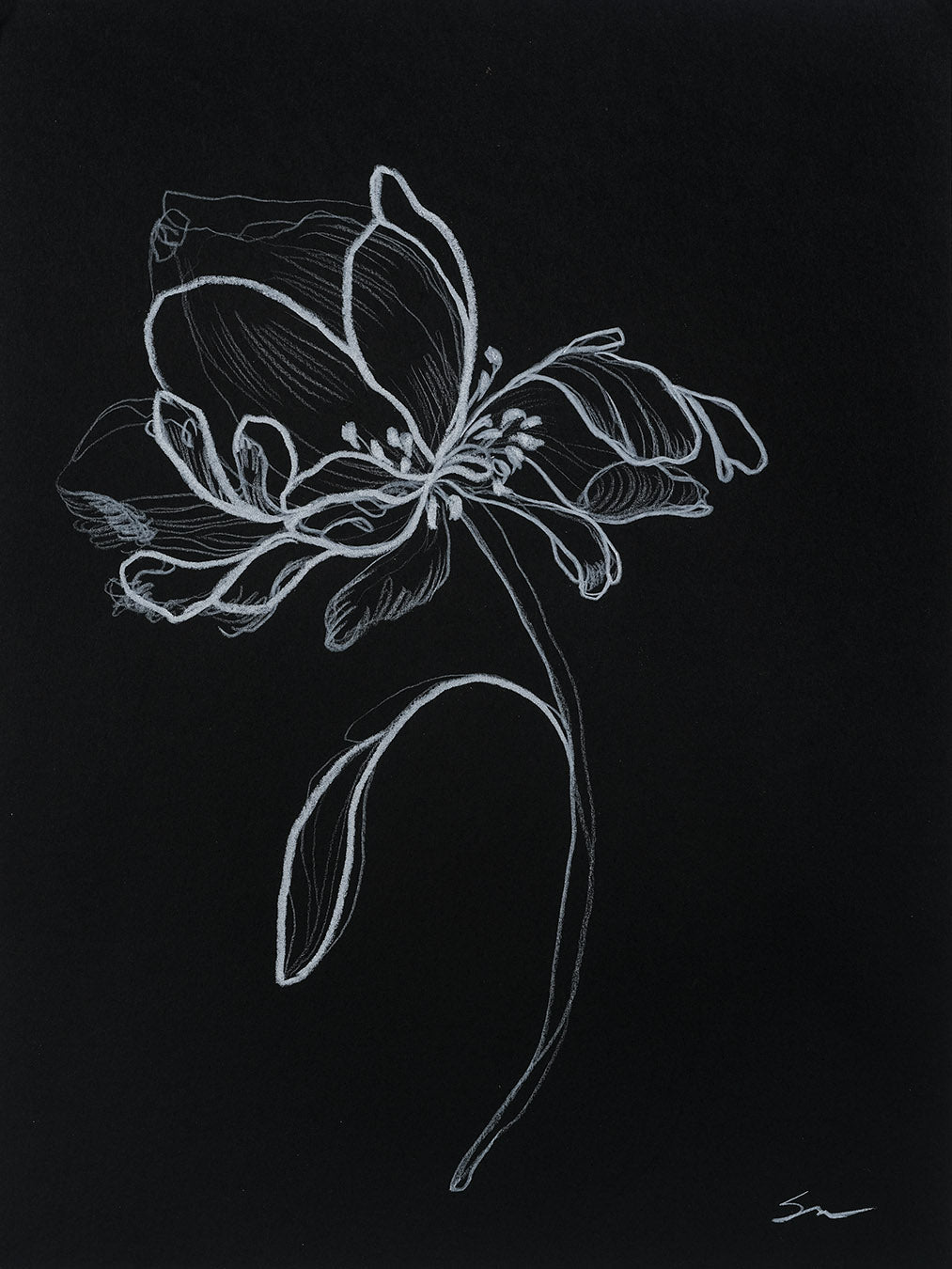 Gentle no.10 / 12" x 9"