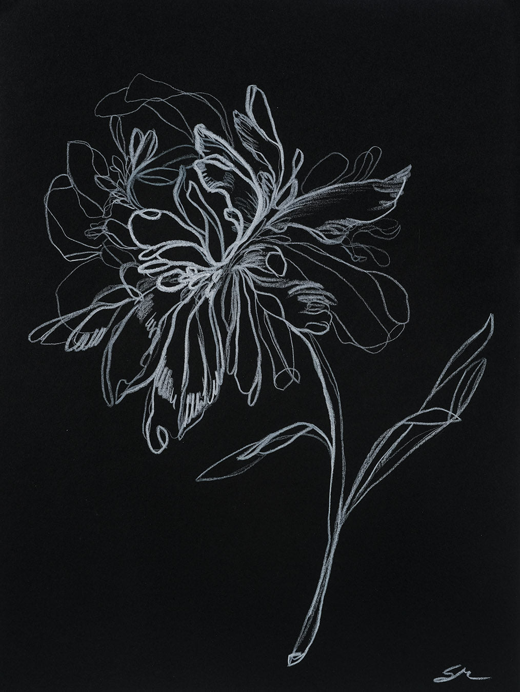 Gentle no.3 / 12" x 9"
