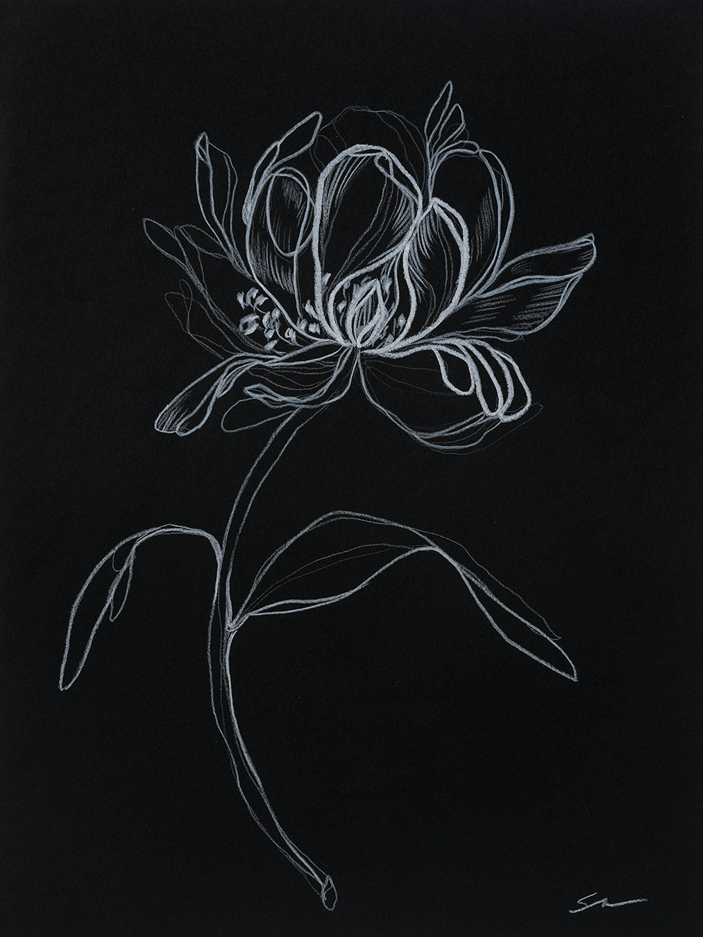 Gentle no.4 / 12" x 9"
