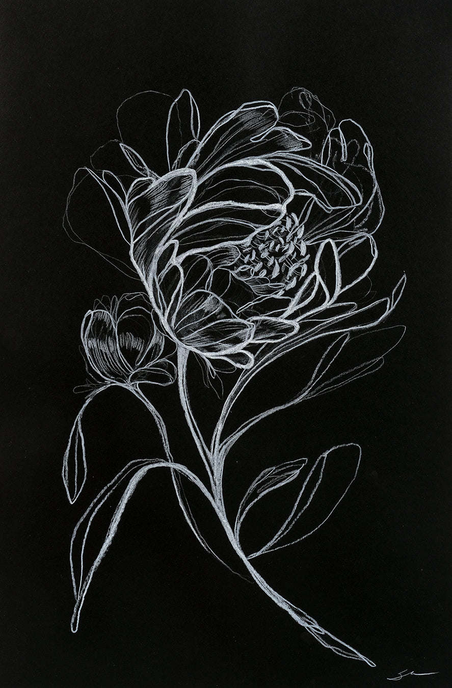 How You Rise / 18" x 12"