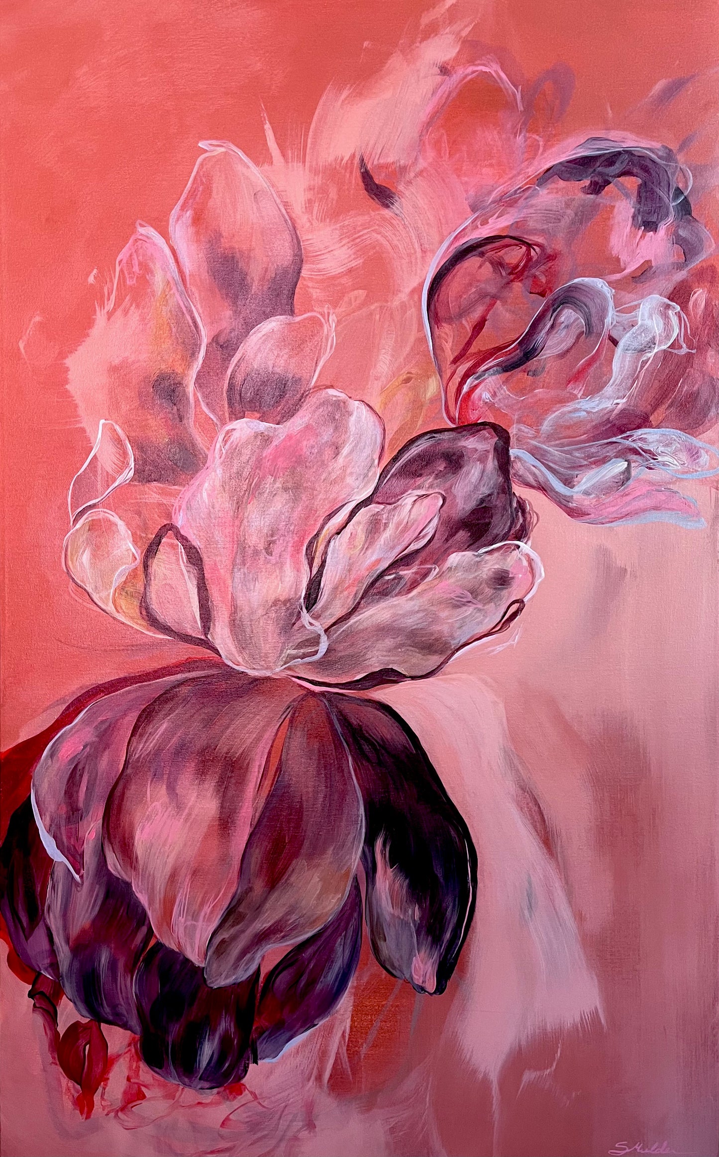 48" x 30"