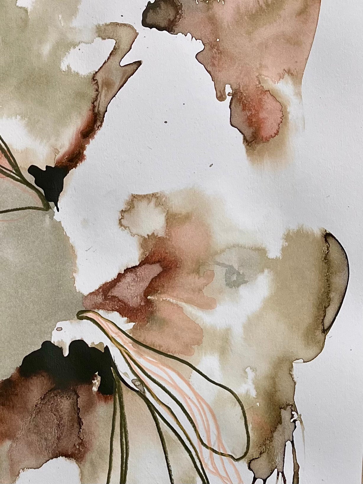 Tendered Visions / 16.5" x 11.5"