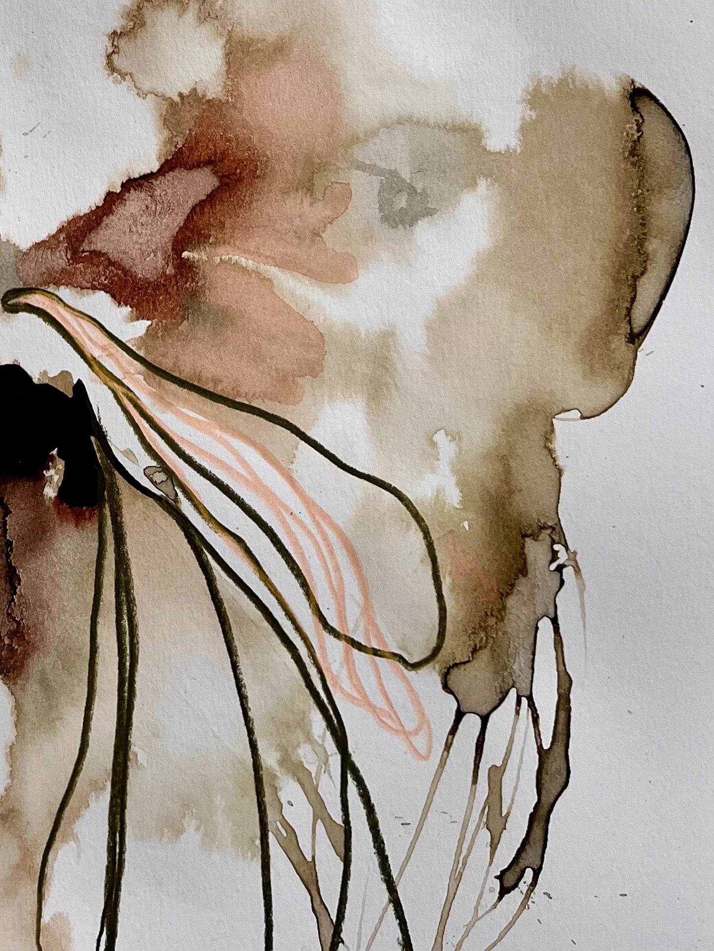 Tendered Visions / 16.5" x 11.5"