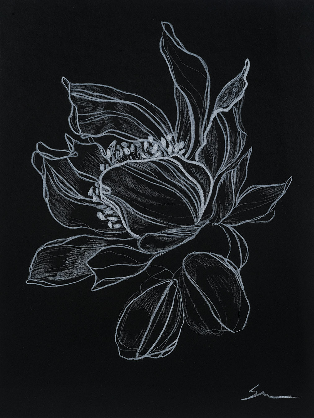 Loved no.5 / 12" x 9"