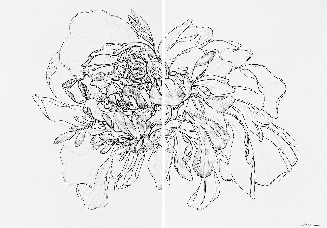 Queen Bee / 27.5" x 39"